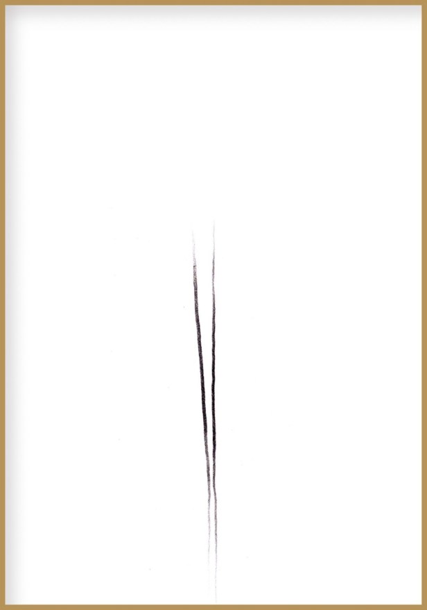 whatsapp image 2019-01-07 at 11.11.37