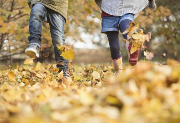 220562-654x450-Children-walking-in-autumn-leaves